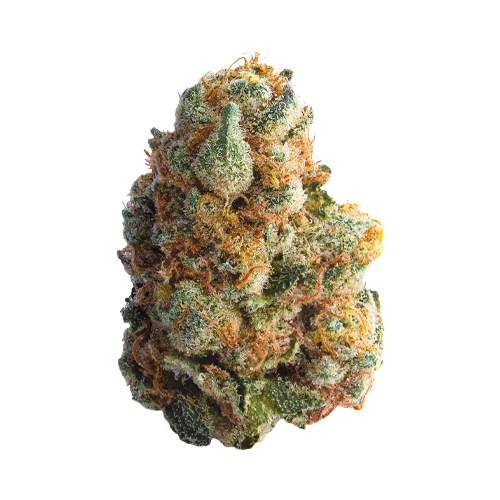 Spinach GMO Cookies 3.5g