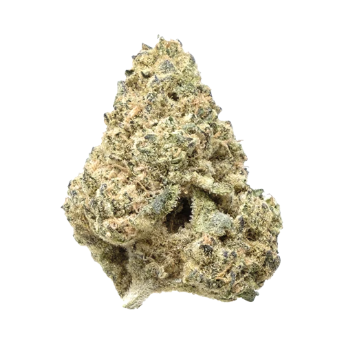 Crooked Dory Sativa