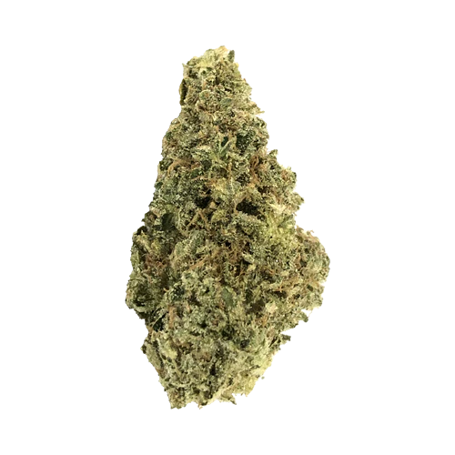 Crooked Dory Indica