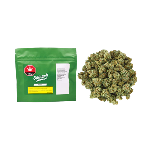 Spinach GMO Cookies 3.5g