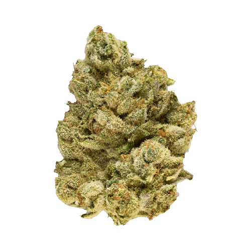 Broken Coast EmergenZ 7g