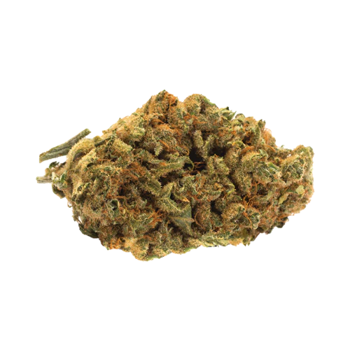 Twd.28 Lazy Berry Blaze